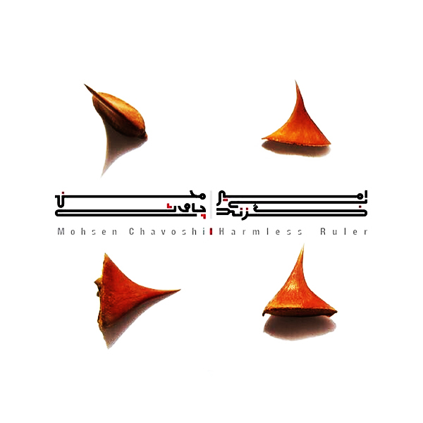 دانلود آلبوم جدید و فوق العاده زیبا از محسن چاوشی به نام امیر بی گزند
